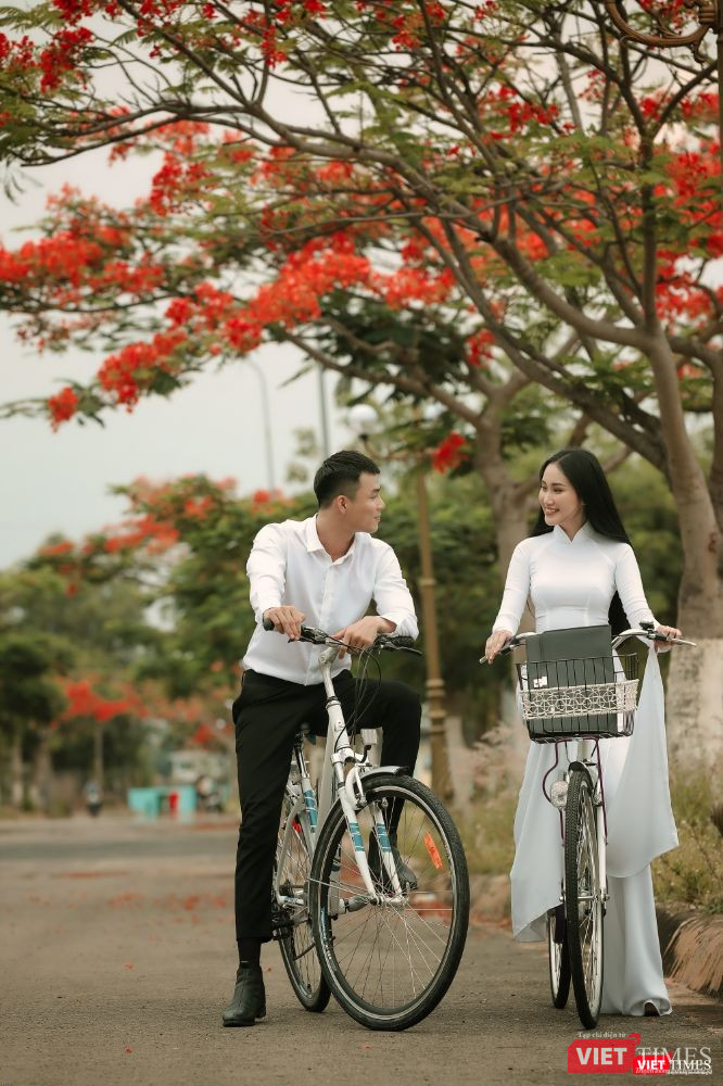 Ai cũng từng có một tuổi học trò thơ dại với những cánh phượng hồng ép khô Ai cũng từng có một tuổi học trò thơ dại với những cánh phượng hồng ép khô