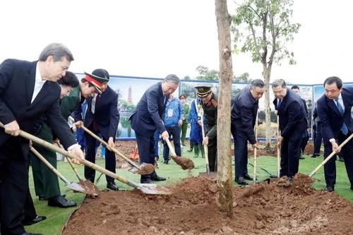 Theo Tổng bí thư, Tết trồng cây đã thực sự đi vào cuộc sống, trở thành nét đẹp văn hóa truyền thống. Ảnh: TTXVN.