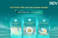 BIDV và giải pháp tiền gửi tối ưu cho doanh nghiệp 