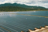 Doanh nghiệp Việt tăng tốc bằng nội lực