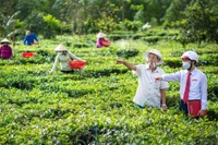 Agribank điều hành tín dụng kiên định vì mục tiêu phát triển bền vững