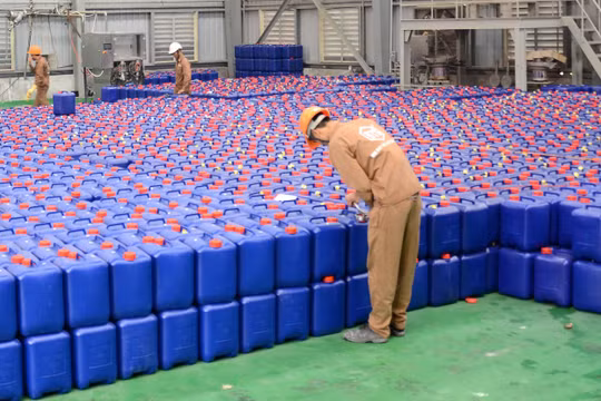 Nhiều nhân viên Hóa chất Đức Giang từng "đổi đời" nhờ cổ phiếu DGC