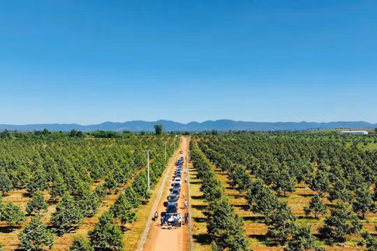 "Con cưng” của HAGL sắp IPO: Báo cáo tài chính đẹp như mơ, vì sao vào tầm ngắm của Cục Thuế?