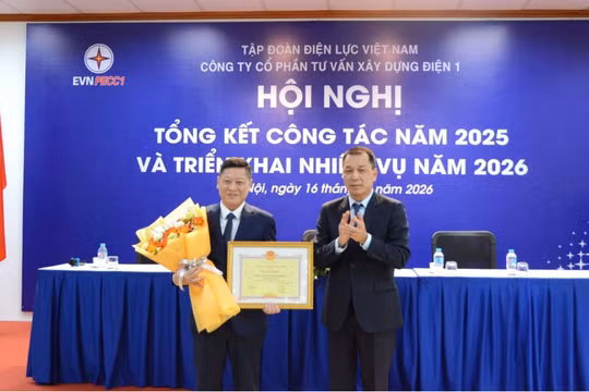Chủ tịch HĐQT Công ty Tư vấn Xây dựng Điện 1 bị khởi tố 