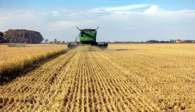 Thu hoạch lúa tại trang trại LaFagiana, gần Venice, Italy. Ảnh NoCamels Thu hoạch lúa tại trang trại LaFagiana, gần Venice, Italy. Ảnh NoCamels