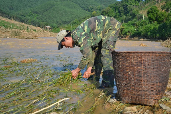 Tan hoang sau lũ quét 100 năm chưa từng có ảnh 8