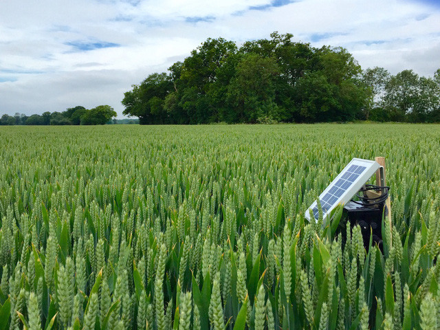  Theo TS Santhi: Công nghệ sẽ thay đổi cách thức làm nông nghiệp 