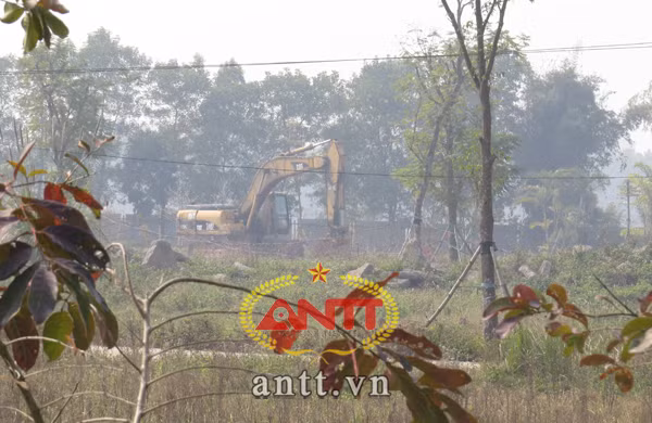 Ông chủ Tuần Châu: Lo 'sạn' Vịnh, 'quên' dự án ở đồng bằng? ảnh 2