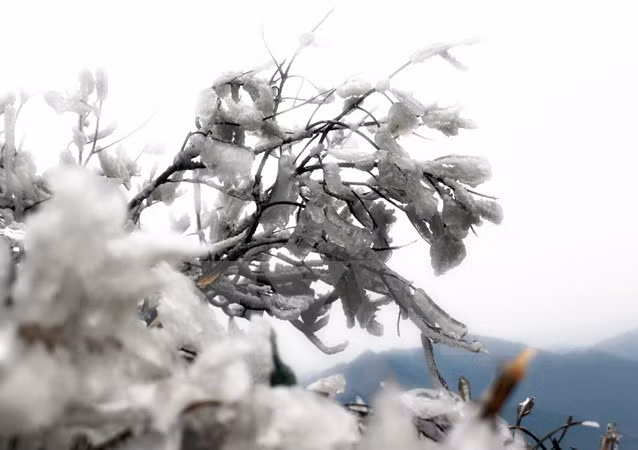 Vùng núi cao có khả năng xuất hiện băng giá. (Ảnh minh họa: Văn Phát/TTXVN)