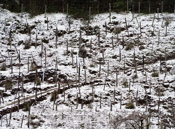 Sáng nay, khu vực này khá vắng người qua lại.