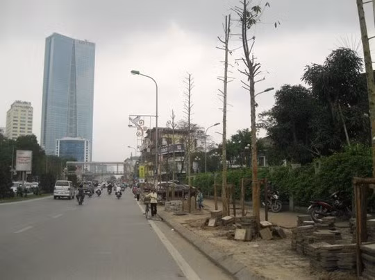 hay vào những hàng cây xanh xum xuê lá trước kia là hàng cây mới trồng cao chừng vài ba m, trụi lá 