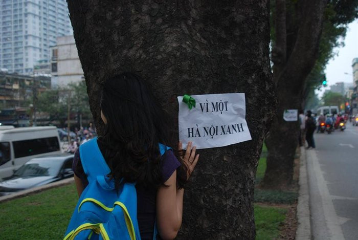 Người dân Hà Nội bày tỏ thái độ phản đối việc chặt và thay thế cây.