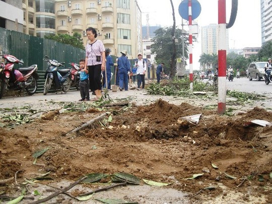 Các gốc cây to sau khi bị đào đi đã để lại những hố đất chưa được trồng cây thay thế, đất, cát rất bừa bộn 