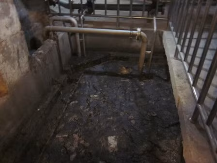 Những lùm xùm khó quên của Tập đoàn Bitexco ảnh 1