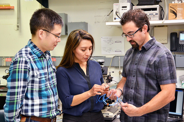 IBM công bố 5 sáng tạo có khả năng làm thay đổi cuộc sống 5 năm tới ảnh 4