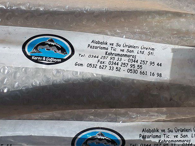 IS có bệnh viện ngầm dùng thuốc Mỹ, máy in tiền từ Thổ Nhĩ Kỳ ảnh 3