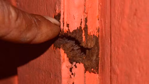 Kinh hoàng phút sinh tử trước họng súng kẻ bắn chết ngư dân Trường Sa ảnh 4