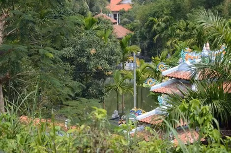 Phong cảnh khu biệt phủ khá thích hợp làm khu sinh thái