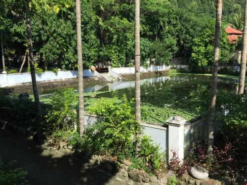 Choáng trước đồ quý trong biệt phủ 100 tỉ của đại gia vàng ở đèo Hải Vân ảnh 24