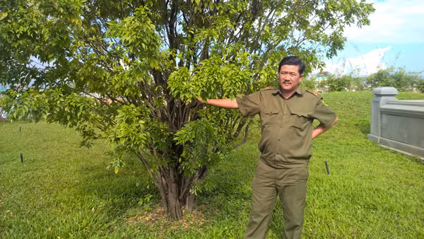 Khu lăng mộ và nhà tưởng niệm ông Nguyễn Bá Thanh ảnh 12 Khu lăng mộ và nhà tưởng niệm ông Nguyễn Bá Thanh ảnh 12