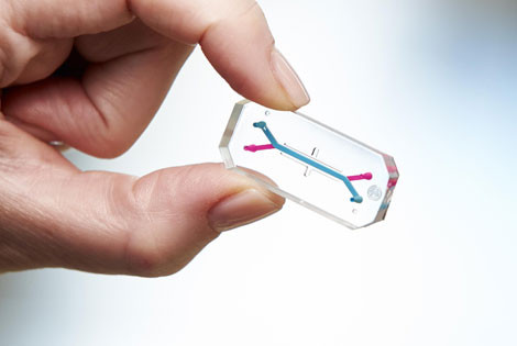 Chip phổi đoạt giải thưởng thiết kế của Viện Wyss Đại học Havard.