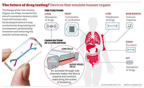 Những con chip được phát triển với mọi cơ quan người trong tương lai.