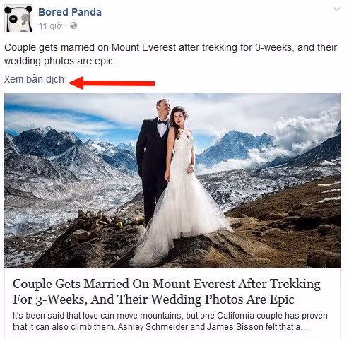 Chức năng dịch đã được Facebook bổ sung trên mạng xã hội của mình từ lâu và sẽ được cải thiện nhờ hệ thống dịch mới