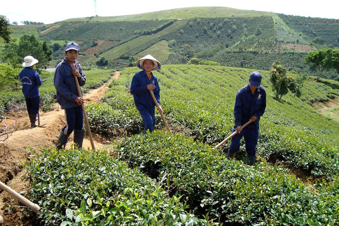 Nữ đại gia Việt chết ở Trung Quốc: Bạc mệnh hồng nhan ảnh 1