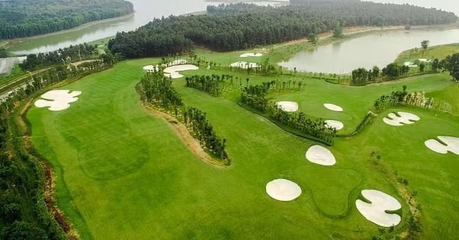 Ảnh minh hoạ (Nguồn: Internet)