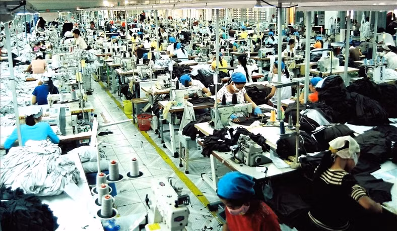 Ảnh minh họa (Nguồn: Internet)