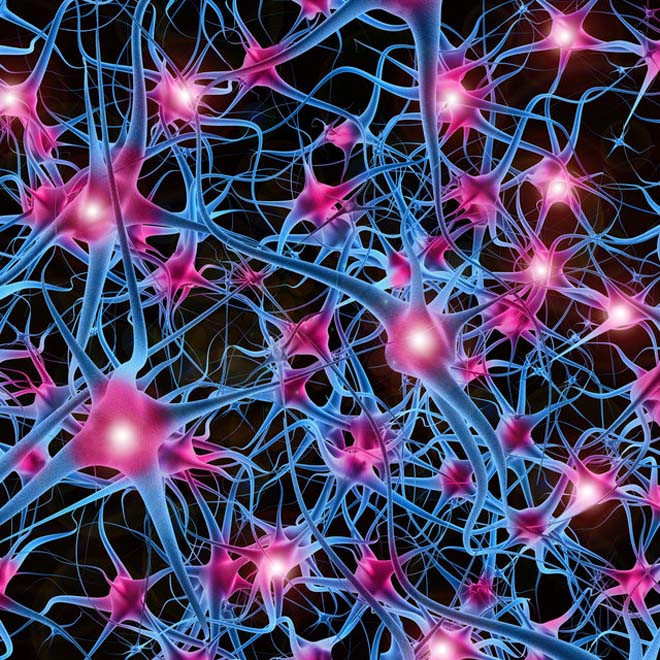 Cấu trúc mạng thần kinh. Ảnh: Seeker 