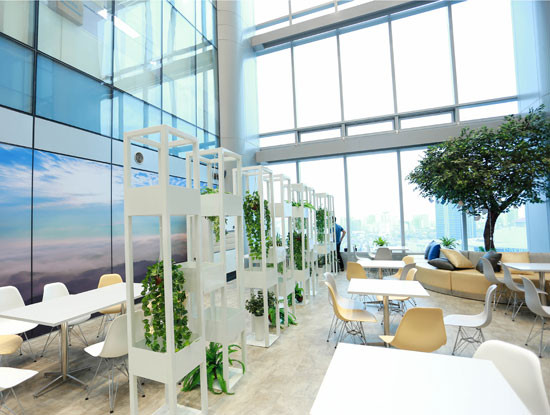 Chủ tịch Tek Experts: “Chúng tôi không đến Ấn Độ, Philippines mà đến Việt Nam để thu hút nhân lực CNTT” ảnh 3