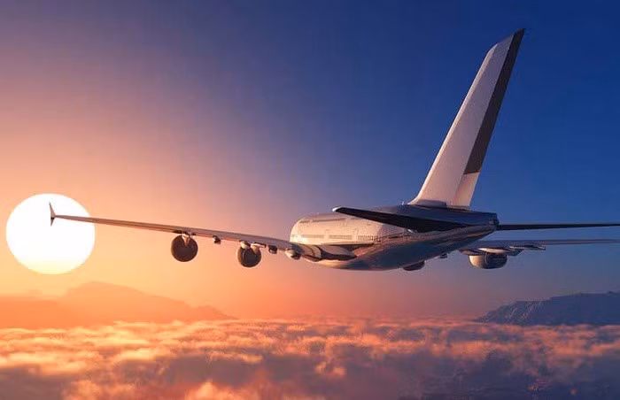 Ảnh minh họa (Nguồn: Internet)