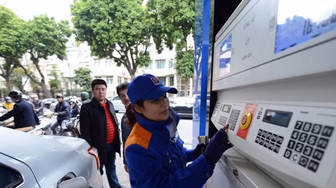 Ảnh minh họa (Nguồn: Internet)