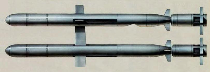 Sức mạnh tổ hợp tên lửa giáng đòn sấm sét vào “Nhà nước Hồi giáo“ ảnh 2