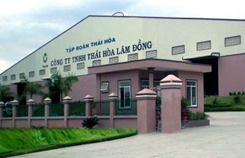 Đại gia lụi tàn, 'chết chìm' vì nợ khủng ảnh 1