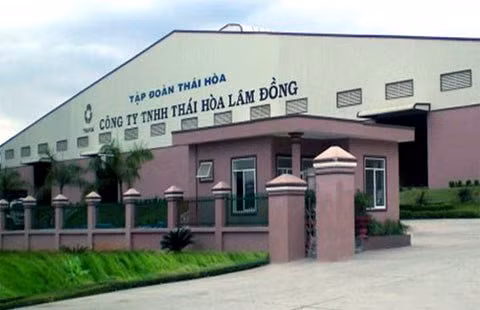 Đại gia lụi tàn, 'chết chìm' vì nợ khủng ảnh 1