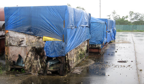 Dự án nghìn tỷ 'chết', ngân hàng chia đống sắt vụn ảnh 1 Dự án nghìn tỷ 'chết', ngân hàng chia đống sắt vụn ảnh 1