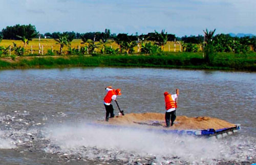 Đại gia miền Tây: Bản lĩnh vay ngàn tỷ rồi chuồn lẹ ảnh 2