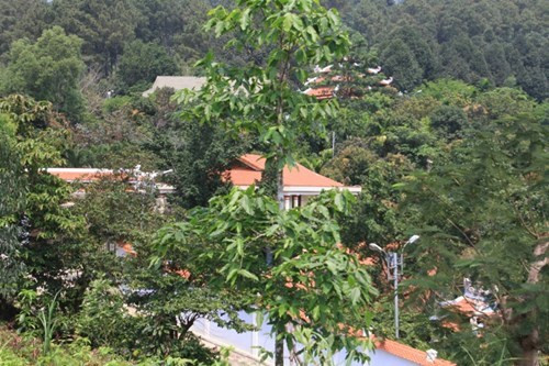 Núi Hải Vân có vàng mới là nguyên nhân ông Quang xin để...làm du lịch? ảnh 2 Núi Hải Vân có vàng mới là nguyên nhân ông Quang xin để...làm du lịch? ảnh 2