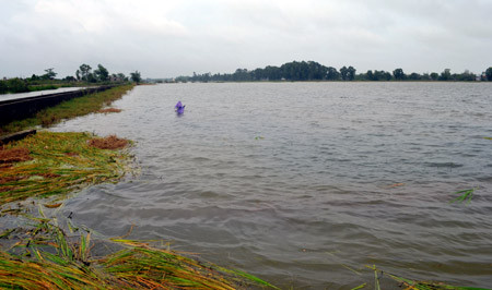 Thủy điện xả lũ đột ngột, người dân thiệt nặng ảnh 1