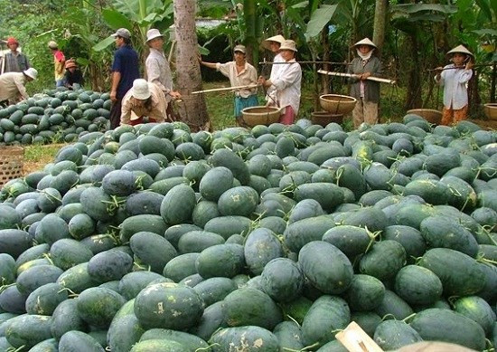 Truy tìm 20 tỷ USD Trung Quốc lọt vào Việt Nam: Bất lực? ảnh 2