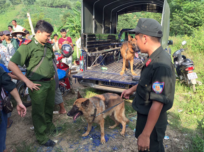 Chó nghiệp vụ tham gia truy bắt nghi phạm - Ảnh: Minh Quang Chó nghiệp vụ tham gia truy bắt nghi phạm - Ảnh: Minh Quang