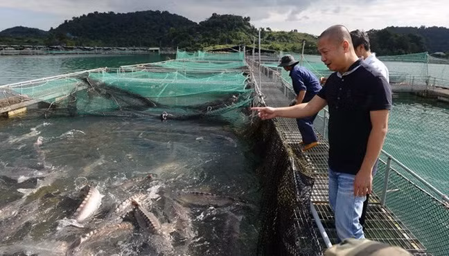 Doanh nhân Lê Anh Đức - Đức "Cá tầm". (Nguồn: AFP)