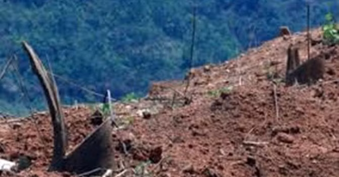 Cao su Tây Bắc: Điều trái khoáy khi học theo Trung Quốc