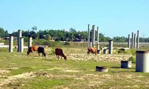 Cay đắng tỷ đô: Những chiếc bánh vẽ ‘bốc mùi’ ảnh 1 Cay đắng tỷ đô: Những chiếc bánh vẽ ‘bốc mùi’ ảnh 1