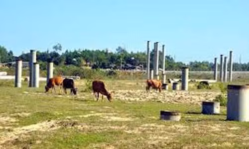 Cay đắng tỷ đô: Những chiếc bánh vẽ ‘bốc mùi’ ảnh 1