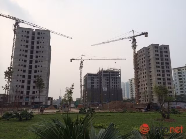 Phí bảo lãnh BĐS: Nghị định mới trình, Thông tư chưa ban hành, DN “ngóng”.. ảnh 1
