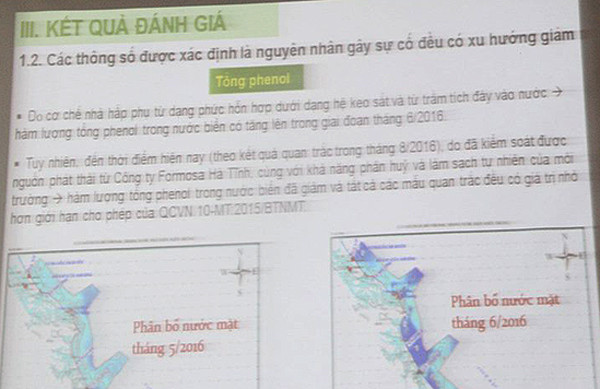 Vẫn chưa rõ cá miền Trung đã ăn được hay chưa ảnh 9