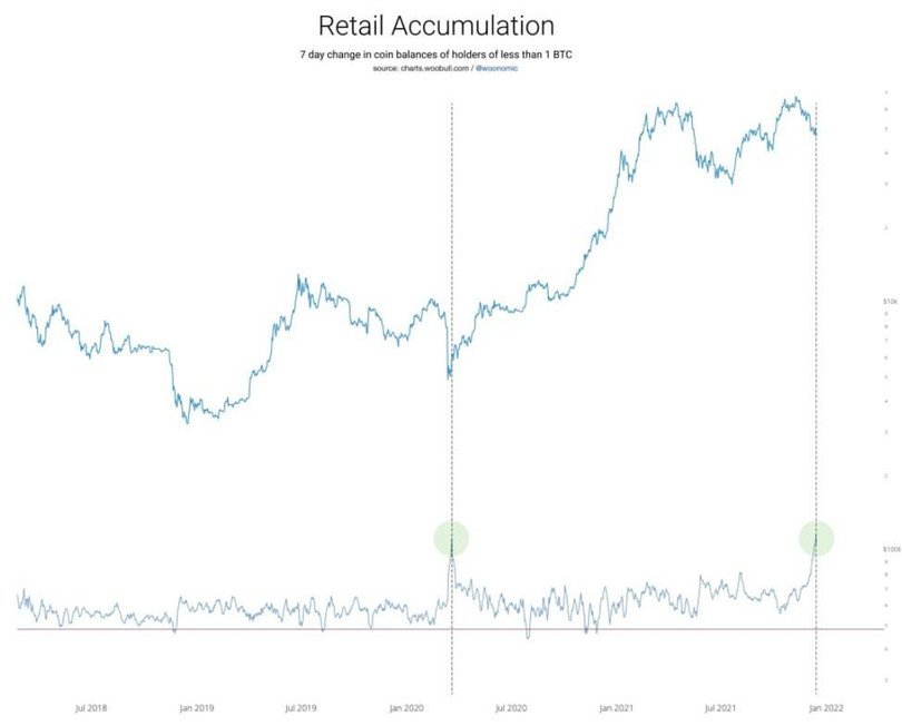 Giới đầu tư đẩy mạnh gom hàng tích trữ khi thị trường tuột dốc. Ảnh: @woonomic.